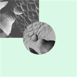 Turning Torso - Adinkra download flac