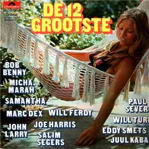 Various - De 12 Grootste download flac