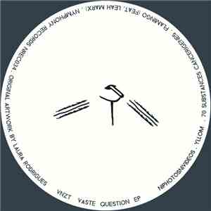 VNZT - Vaste Question download flac
