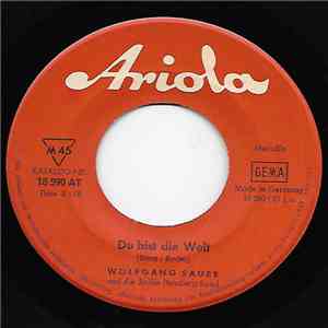 Wolfgang Sauer Und Die Jackie Bensberg Band - Du Bist Die Welt download flac