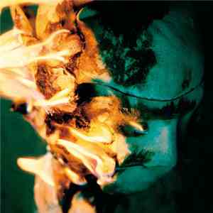 Yahyel - Iron / Rude download flac