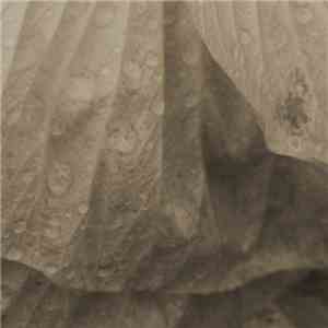Coastal Miner - Fracture download flac