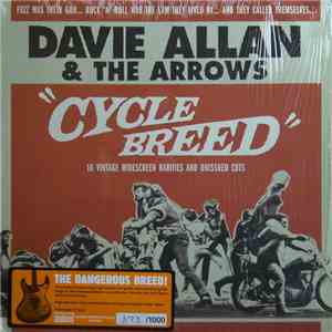 Davie Allan & The Arrows - Cycle Breed download flac