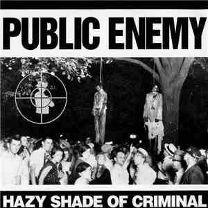 Public Enemy - Hazy Shade Of Criminal FLAC album