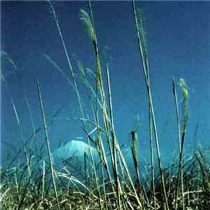 Various - 極東最前線 download flac