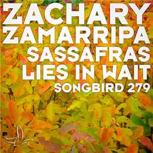 Zachary Zamarripa - Sassafras / Lies In Wait download flac