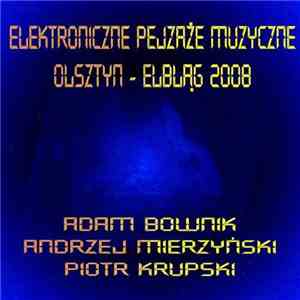 Adam Bownik, Andrzej Mierzyński, Piotr Krupski - Elektroniczne pejzaże muzyczne - Olsztyn-Elbląg 2008 download flac