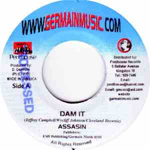 Assasin - Dam It download flac