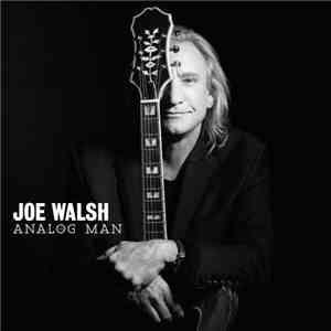 Joe Walsh - Analog Man download flac