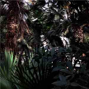 Marie Dior - House Is Where The Beat Is download flac
