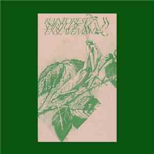 Rainforest Spiritual Enslavement - Fallen Leaves Camouflaged Behind Tropical Flowers download flac