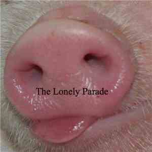 The Lonely Parade - She Can Wait download flac