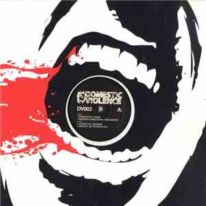 Various - Domestic Violence Part 2 download flac