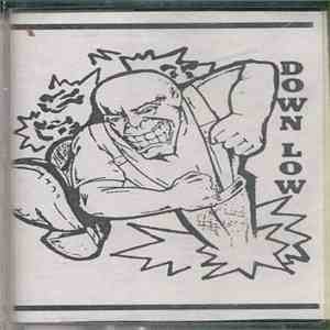 Down Low  - Demo download flac
