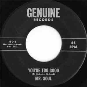 Mr. Soul  - You're Too Good download flac