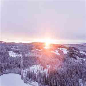 William Hoshal - Early December Light download flac