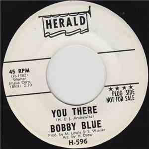 Bobby Blue  - You There download flac