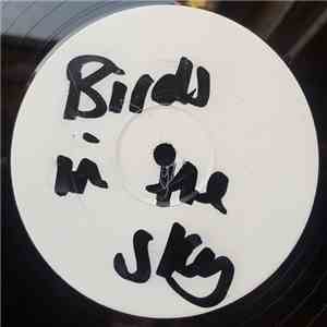 Jammer & D Double E - Birds In The Sky download flac