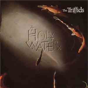 The Triffids - Holy Water download flac