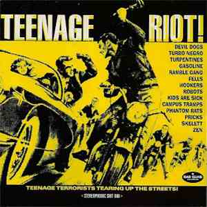 Various - Teenage Riot! download flac