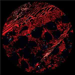 Various - Untitled EP download flac