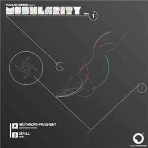 Neothrope + Fragment / DEV:ILL - Modularity Part 1 download flac