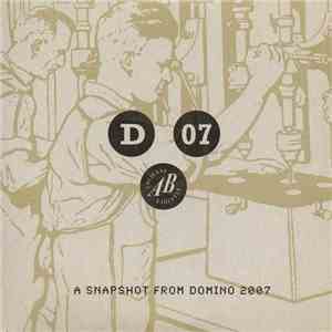 Various - D 07 - A Snapshot From Domino 2007 download flac