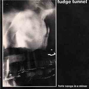 Fudge Tunnel - Hate Songs In E Minor download flac