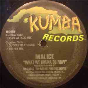 Malice  - What We Gonna Do Now download flac
