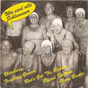 Various - Wir Sind Alle Schlawiner download flac