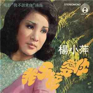 楊小萍 - 我不該愛你 download flac