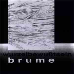 Brume / Wurzelbewußtsein - Le Trou Dans L'Eau / Traumbeisetzung download flac