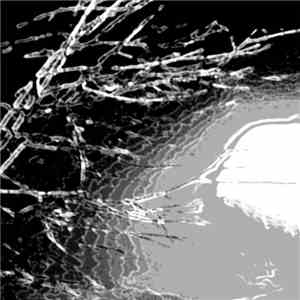 Buskerdroid - Nocturno download flac