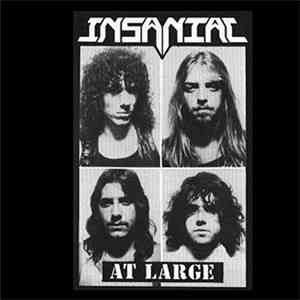 Insaniac  - At Large download flac