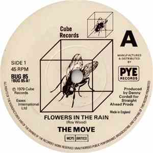 The Move - Flowers In The Rain download flac
