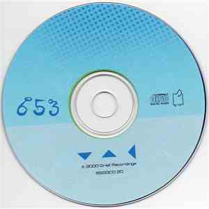Various - 653 download flac