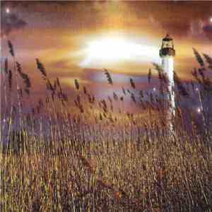 Various - Musiques 2 Nuit ‎– Musiques De Nuit Vol.2 download flac