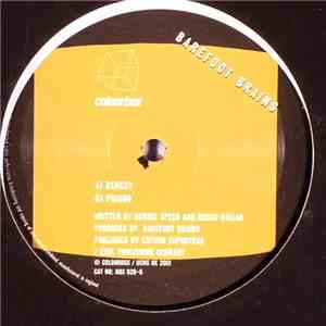 Barefoot Brains - Remedy / Poison download flac