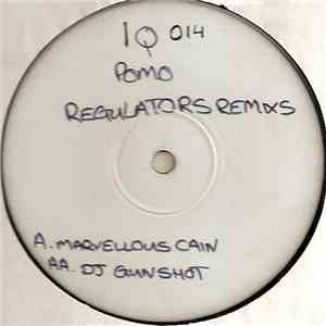 DJ Gunshot - Regulators (Remixes) download flac