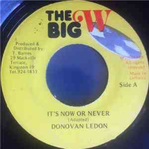 Donovan Ledon / Stevie & Clevie - It's Now Or Never download flac