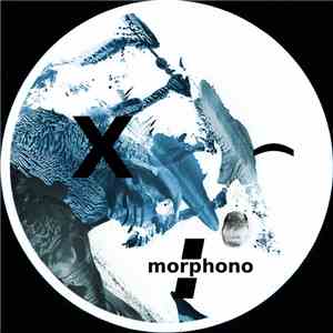 Hardy Küster - Morphono download flac