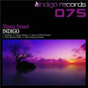 Shaun Ansari - Indigo download flac