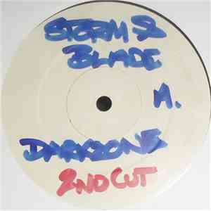 Storm & Blade  / DJ Storm - Darkzone / Rock The Party download flac