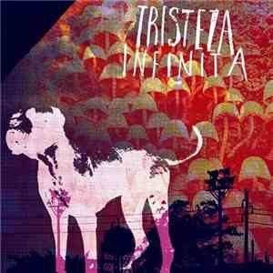 Empty  + Mushrooms Season - Tristeza Infinita download flac