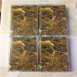 Fragments  + Andrew Kirschner - Fragments + Andrew Kirschner download flac