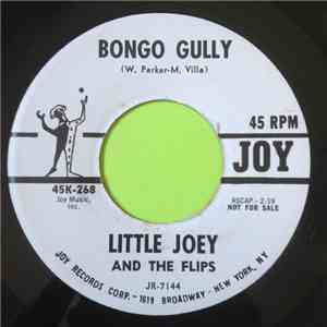 Little Joey And The Flips - Bongo Gully / It Was Like Heaven download flac