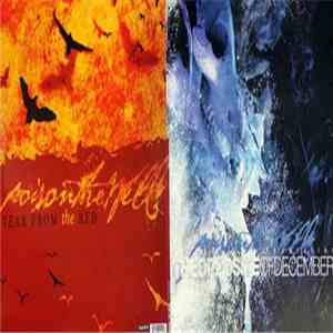Poison The Well - The Opposite Of December I Tear From The Red download flac