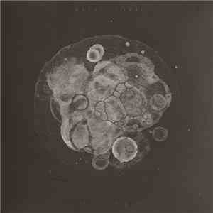 Rafael Toral - Moon Field download flac