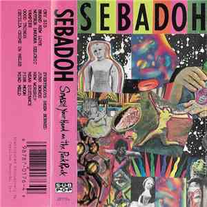 Sebadoh - Smash Your Head On The Punk Rock download flac