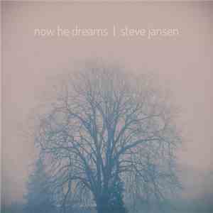 Steve Jansen - Now He Dreams download flac